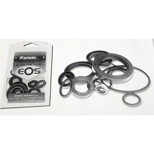 Kits paraoli motore moto guzzi - moto,